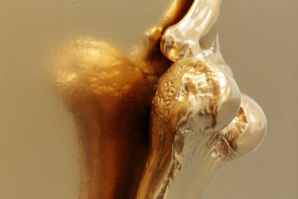 agnes-calf_low-res-61-copy